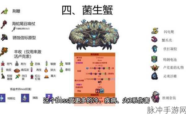 泰拉瑞亚手游，蘑菇火把合成全攻略
