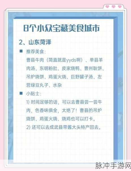 以闪亮之名，畅享美食的全方位攻略指南