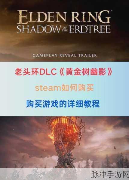 艾尔登法环黄金树之影 DLC 价格全解析
