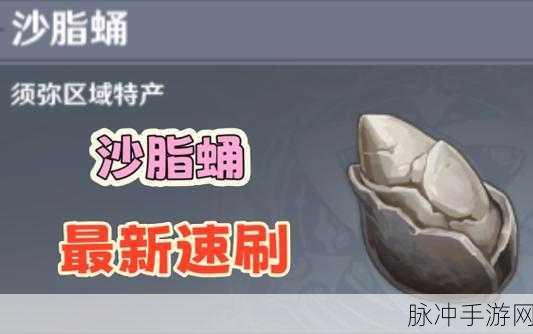 原神沙脂蛹高效收集秘籍大公开