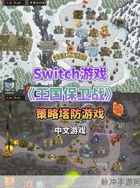 王国保卫战，联机玩法的深度剖析与探讨