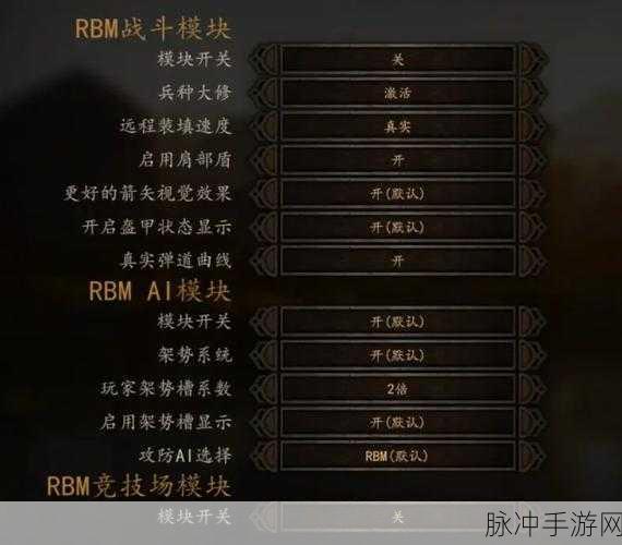 骑马与砍杀 2 秘籍代码全揭秘，助你称霸战场