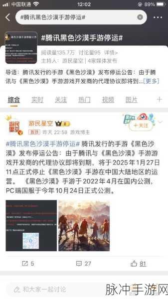 黑色沙漠手游停运之谜，深度剖析与未来展望