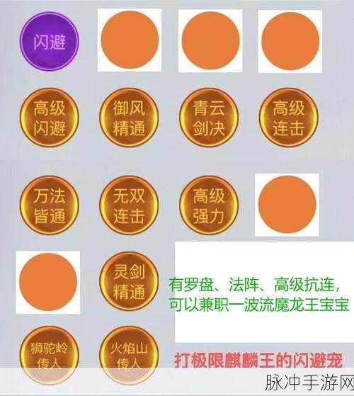 剑与魔龙，主宠技能深度剖析与最佳选择