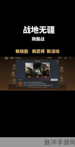 战地无疆，揭秘最强阵容的搭配奥秘
