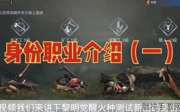 黎明觉醒职业选择全攻略及实用技巧大揭秘