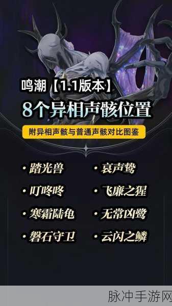 鸣潮异相声骸用途全解析，助你称霸游戏世界