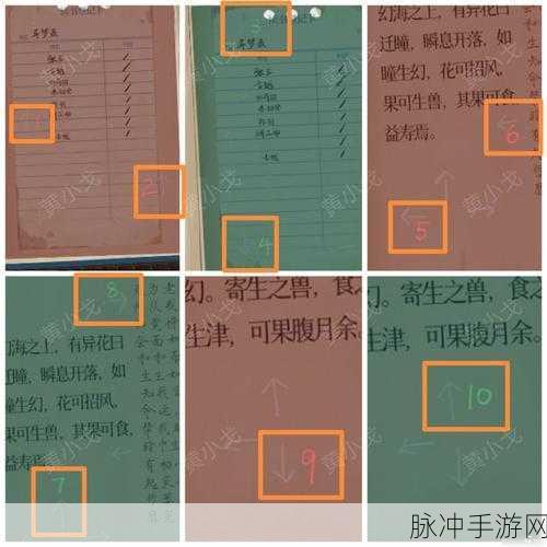 栖云异梦第三章通关秘籍大揭秘