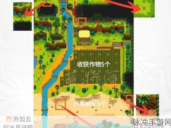 星露谷物语，齐先生核桃房位置大揭秘