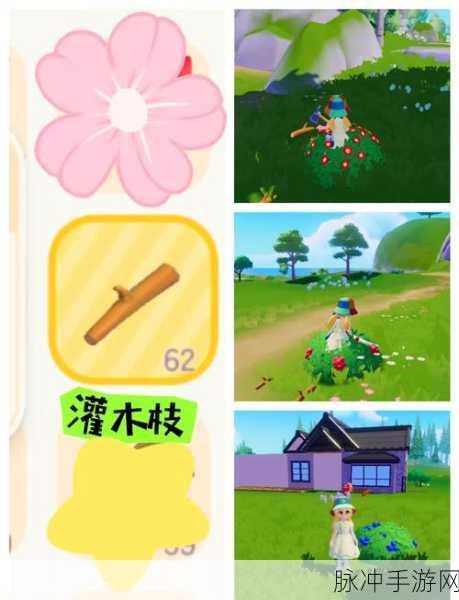 心动小镇树木采集全攻略，地点大揭秘