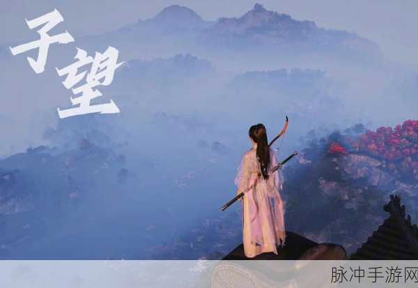 燕云十六声，探寻抬头见花红的神秘收集之旅