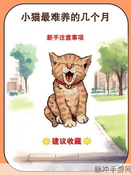 汉字找茬王客厅找猫秘籍，12 只猫咪全攻略