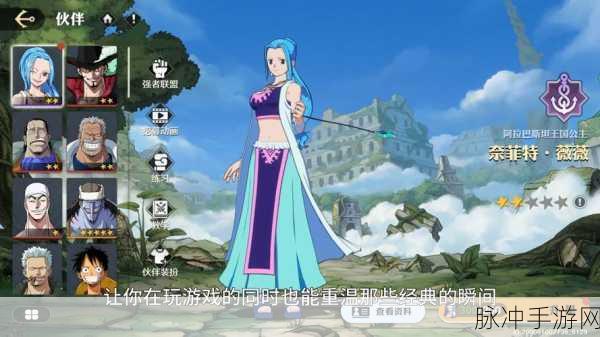航海王壮志雄心，精彩剧情与珍稀收藏品全解析