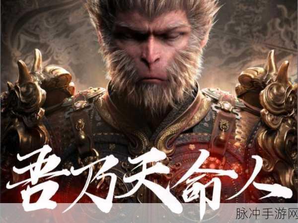 黑神话悟空，探寻天命人的神秘面纱