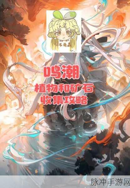 鸣潮，手机号换绑全攻略指南