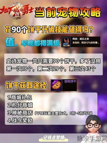 DNF 手游宠物饼干的奇妙用途与正确用法