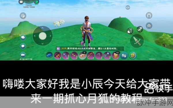 创造与魔法心月狐饲料包制作全攻略