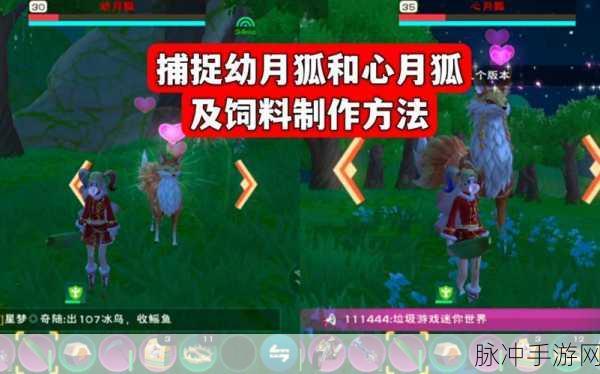 创造与魔法心月狐饲料包制作全攻略