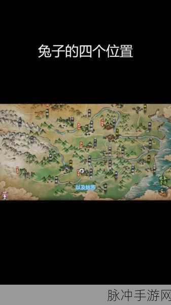 烟雨江湖，探寻木墩位置的全攻略指南