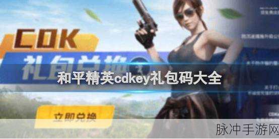 2024 和平精英，免费领取永久皮肤兑换码秘籍大公开