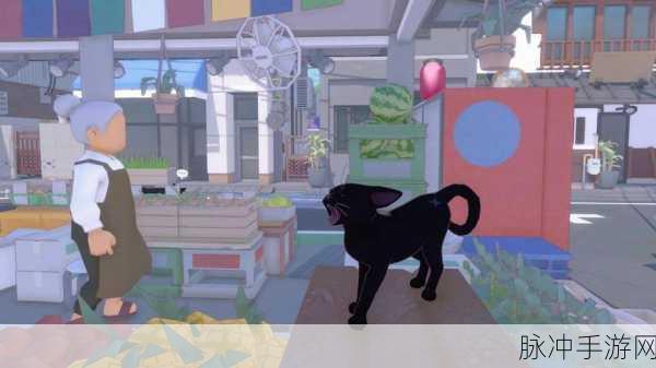 小猫咪大城市帽子获取秘籍全解析