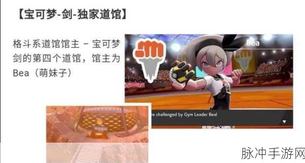 宝可梦剑盾中神秘的 6V 全面解析