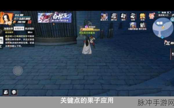 航海王热血航线，绝世高手任务全解析