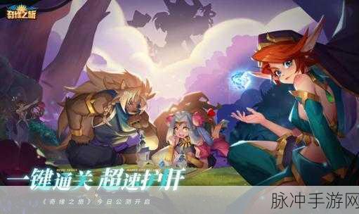 奇缘之旅中净世双神的无敌配合策略