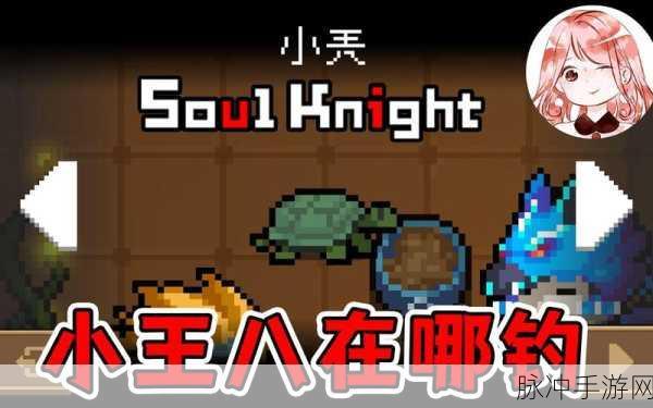 元气骑士，探索小王八爷爷的神秘用途