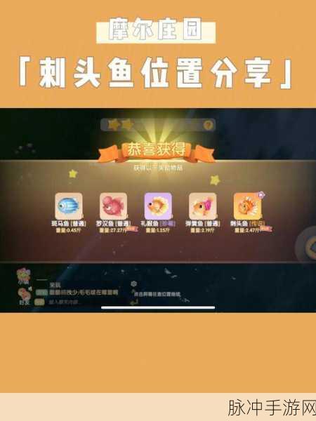 摩尔庄园刺头鱼骨架获取秘籍