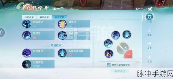 天下手游太虚职业，定位与全面解析