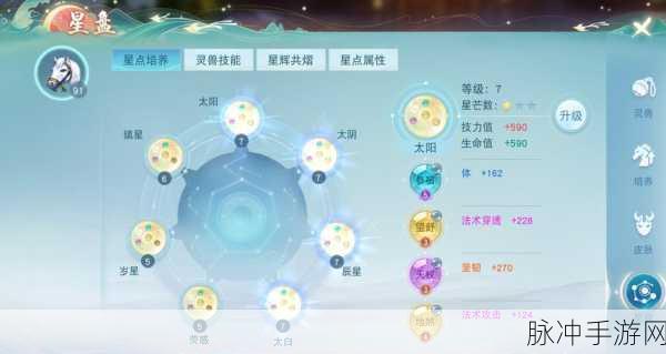 天下手游太虚职业，定位与全面解析