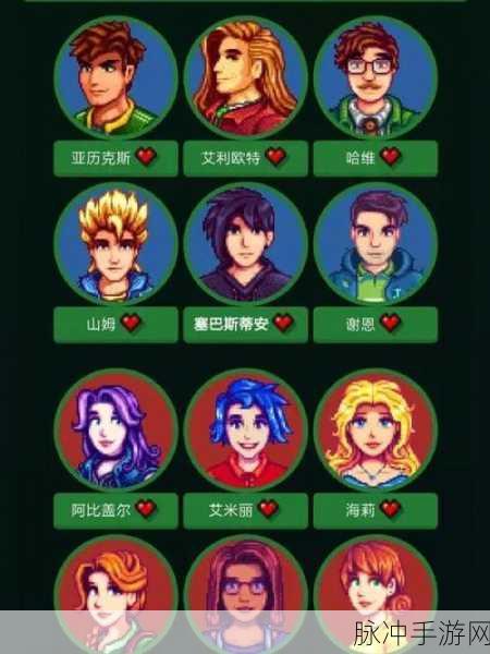 星露谷物语，实用结婚对象全解析
