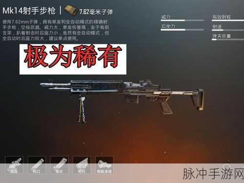 暗区突围 MK14 子弹搭配秘籍大公开