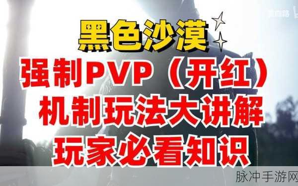 黑色沙漠手游，PVP 玩法深度解析与新手攻略