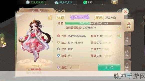 大话西游手游，女人加点与宠物抉择全指南