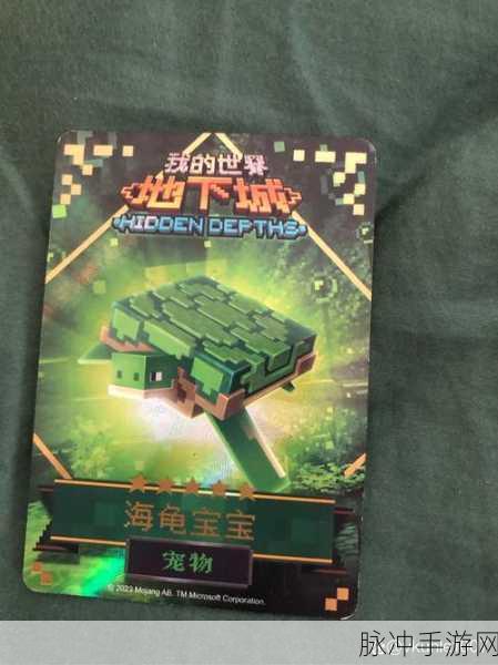 我的世界，海龟蛋孵化秘籍大公开