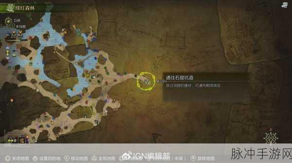 怪物猎人X深度攻略,随从猫票——狩猎路上的得力助手全解析