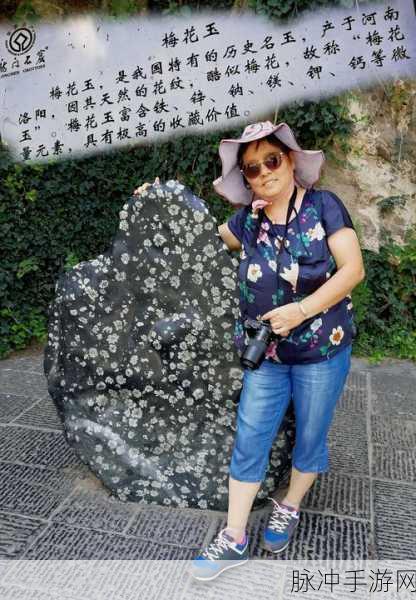 阳春艺曲重新开奖 河南诗人的温暖之旅