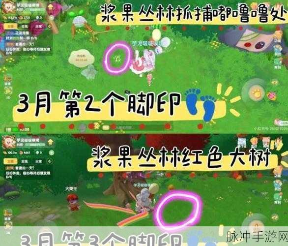 摩尔庄园 2024 年 9 月脚印位置全解析