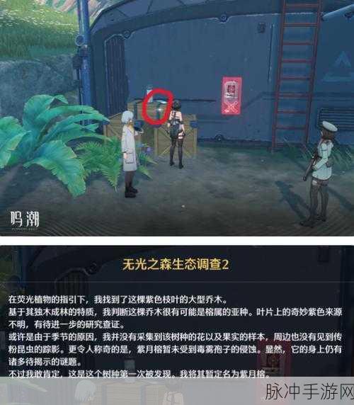 鸣潮手游无光之森解密全指南