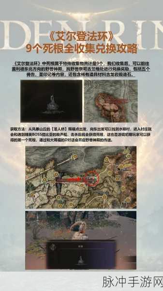 艾尔登法环剧情深度探秘与解析
