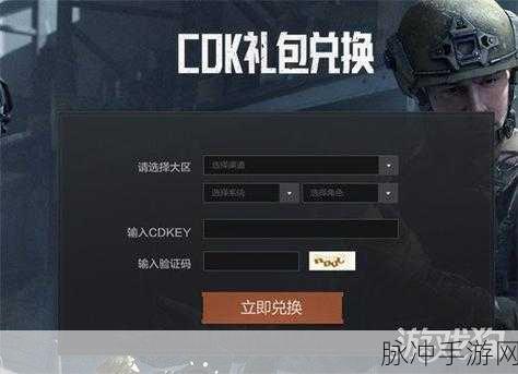 暗区突围CDK激活全攻略，解锁你的专属礼包