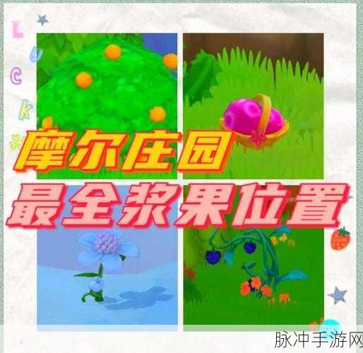 摩尔庄园,深度剖析奴隶主牧场剥削策略