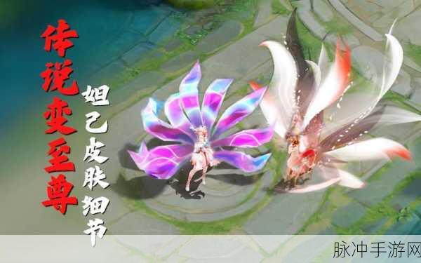 王者荣耀妲己九尾返场获取全攻略