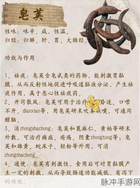 江南百景图中获取皂荚的绝佳秘籍