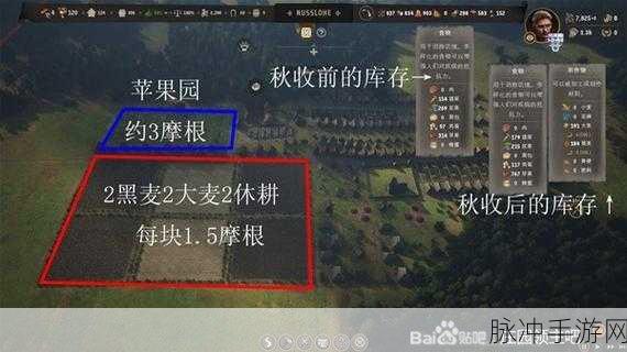 掌握庄园领主耕种秘籍，开启丰收之旅