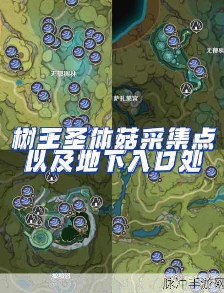 艾萨拉雾菇采集全攻略,探寻最佳产地