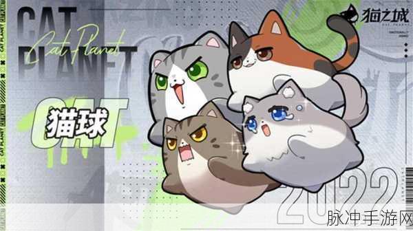 猫之城小音必知的涂鸦评级高效刷取秘籍