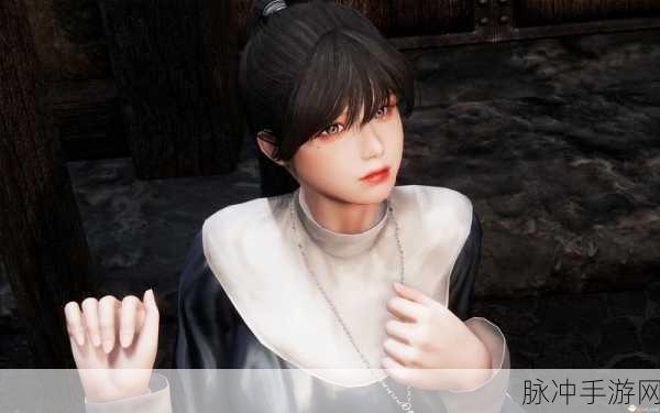 上古卷轴 5 天际手游，NMM 与 Mod 安装全攻略